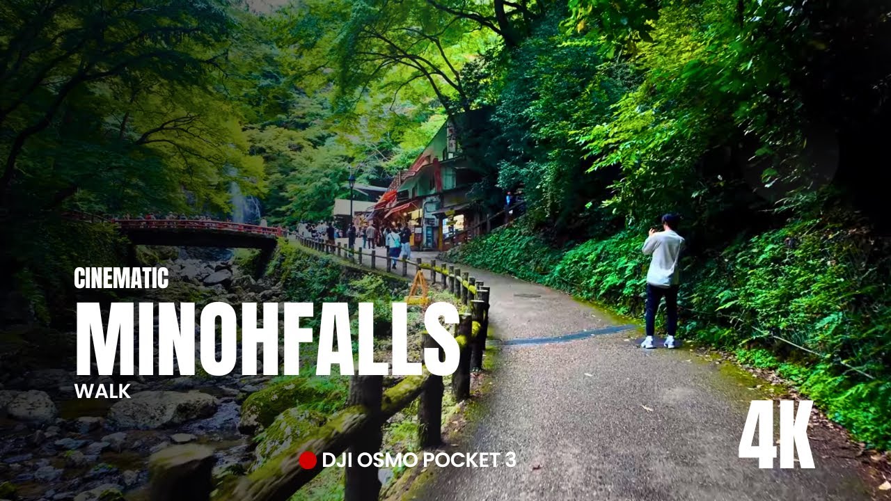Aesthetic Night Walk to MINOH FALLS 🍁 | Osaka Japan 4K Autumn Illumination (DJI Vlog)