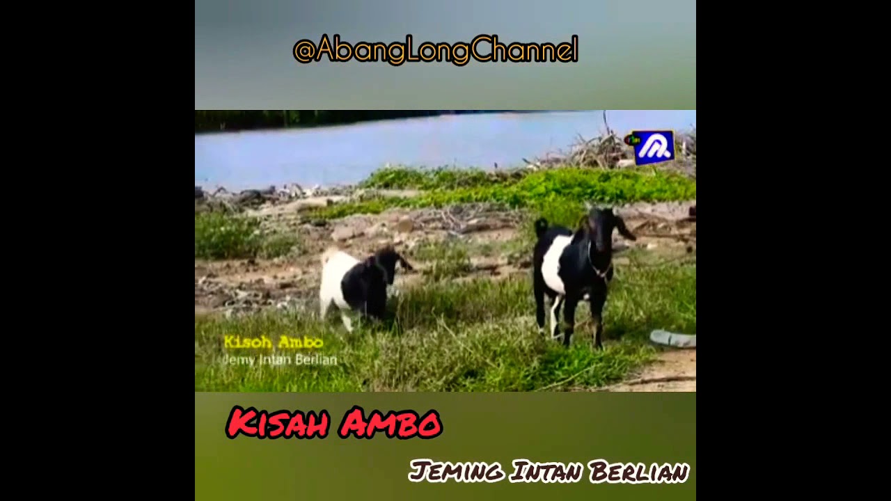 Dikir Kelate// KISAH AMBO //Jeming Intan Berlian