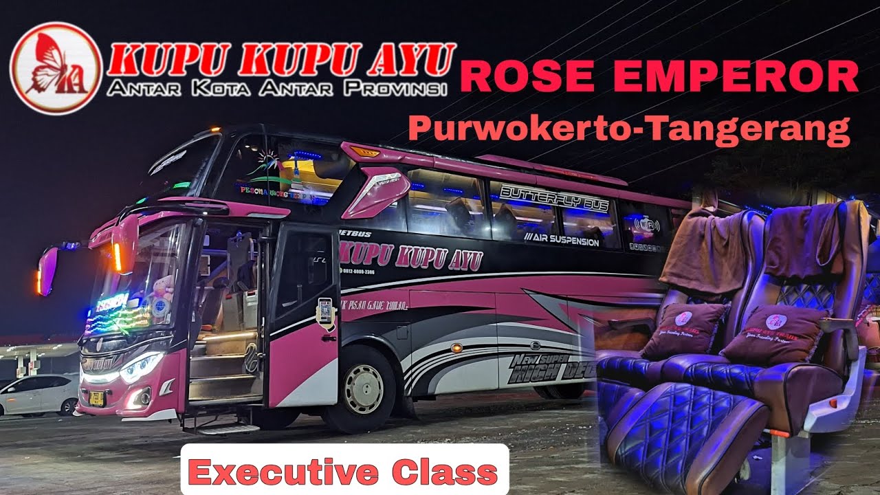 EXECUTIVE CLASS ⁉️ NUMPAK PISAN GAWE TUMAN TRIP REPORT BUS KUPU KUPU AYU PURWOKERTO - TANGERANG 