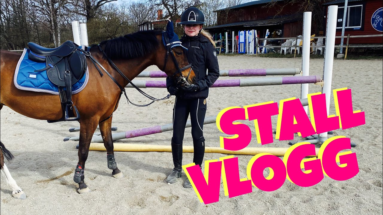 StallVlogg! Fixar i stallet och hopptränar min nya ponny!