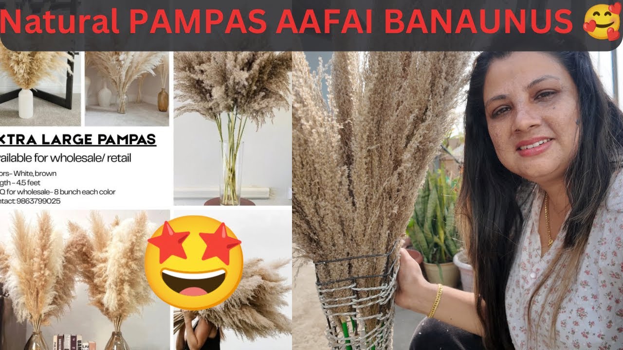 बिना पैसा खर्च गरेर बनाउँनु होस ll घर सजाउनँ यस्तो PAMPAS तयार गरेँ ॥ DIY vlog ॥ 