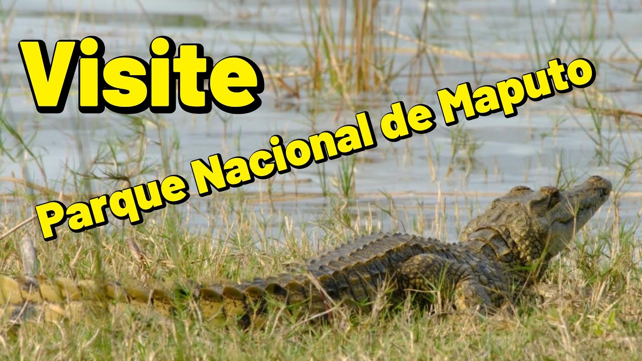 Game Drive at Parque Nacional de Maputo