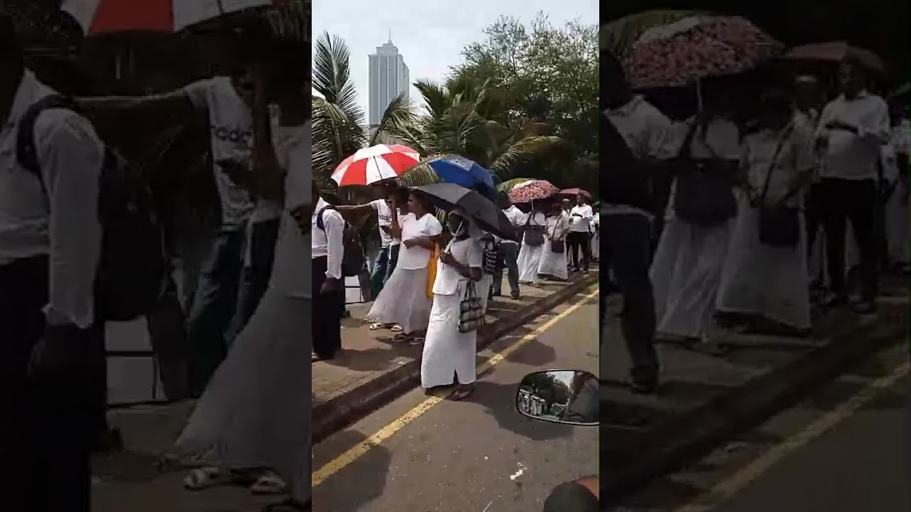 මෙන්න බලන්න ගංගාරාම පන්සලේ ධාතු බලන්න ඉන්න පෝලිම🙏🙏🙏🙏🙏🙏🙏