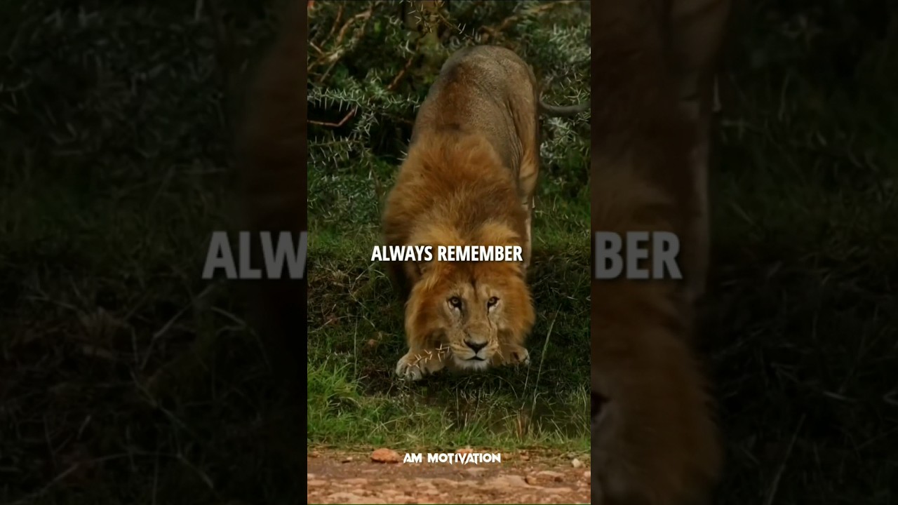 Sigmarule 🥶~Lion Is More Dangerous 🥵~Motivational quotes 🔥 Lion Attitude Status 🔥😈#sigmarule #shorts