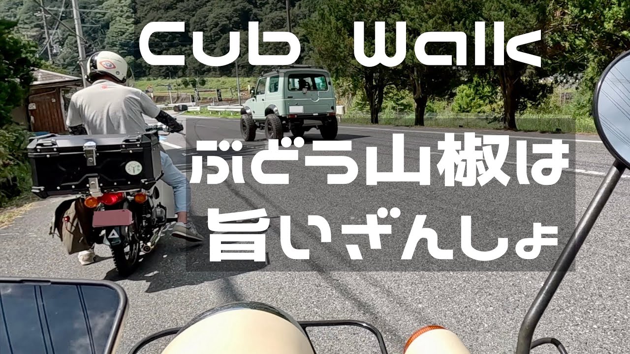 【CUB WALK】ぶどう山椒は旨いざんしょ！〜和歌山〜