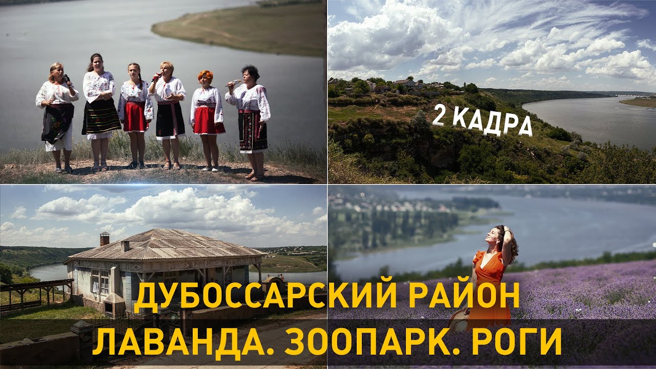 Дубоссарский район. Лаванда. Зоопарк. Роги. 2 кадра 09.07.2020