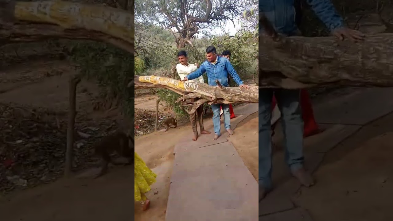 श्री बरसाना धाम परिक्रमा का आनंद राधे राधे 🙏❤️ #love #vrindavan #barsana #like #viral #reels #shorts