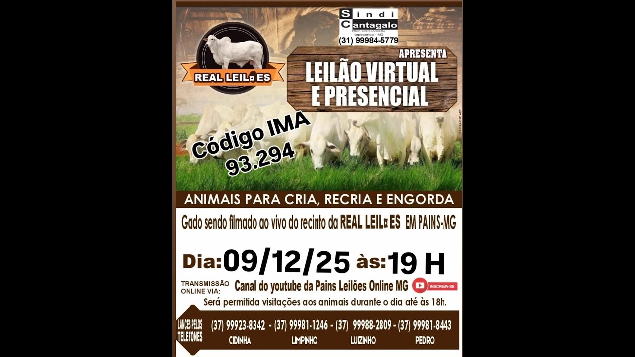 137º Leilão Virtual - Real Leilões - Pains MG