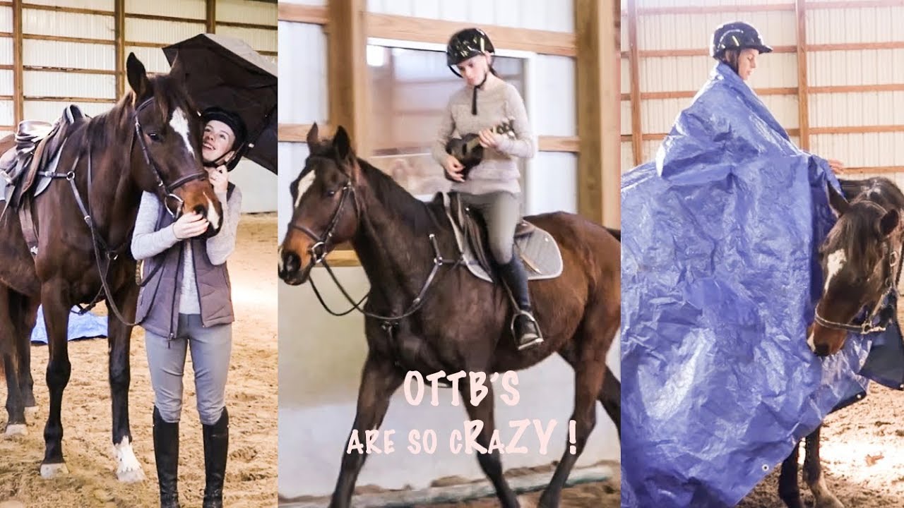 testing how bombproof an ottb is *so crazy*