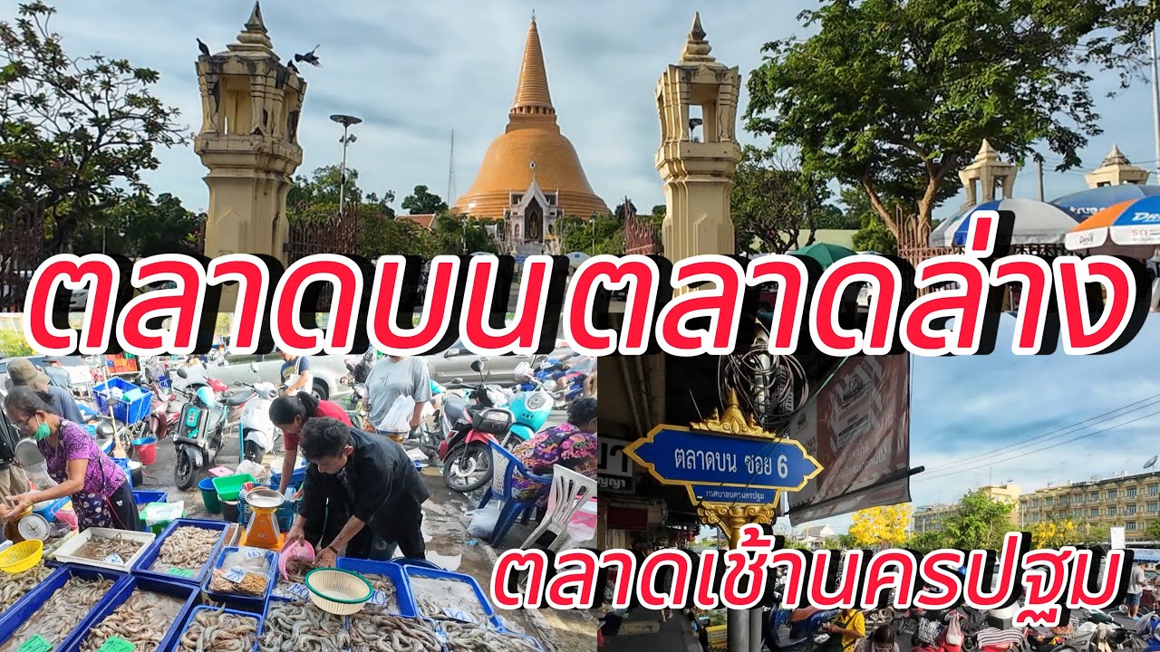 ตลาดบน-ตลาดล่าง ตลาดเช้าเมืองนครปฐม ปลาคังตัวใหญ่มาก!!! ของดีเมืองนครปฐม #ตลาดบนตลาดล่าง