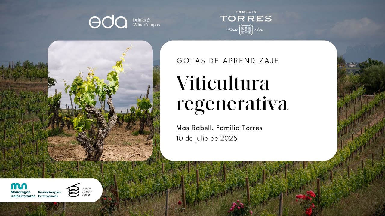Gotas de Aprendizaje: 