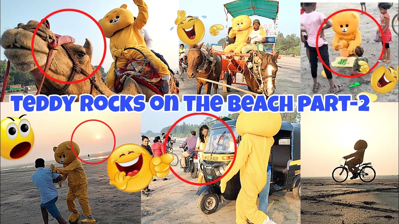 teddy rocks on the beach part-2 | my teddy masti
