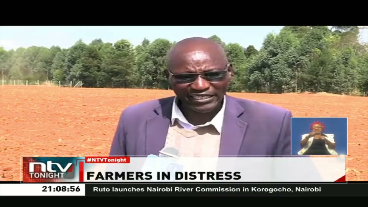 Uasin Gishu: Farmers in confusion as planting season approaches