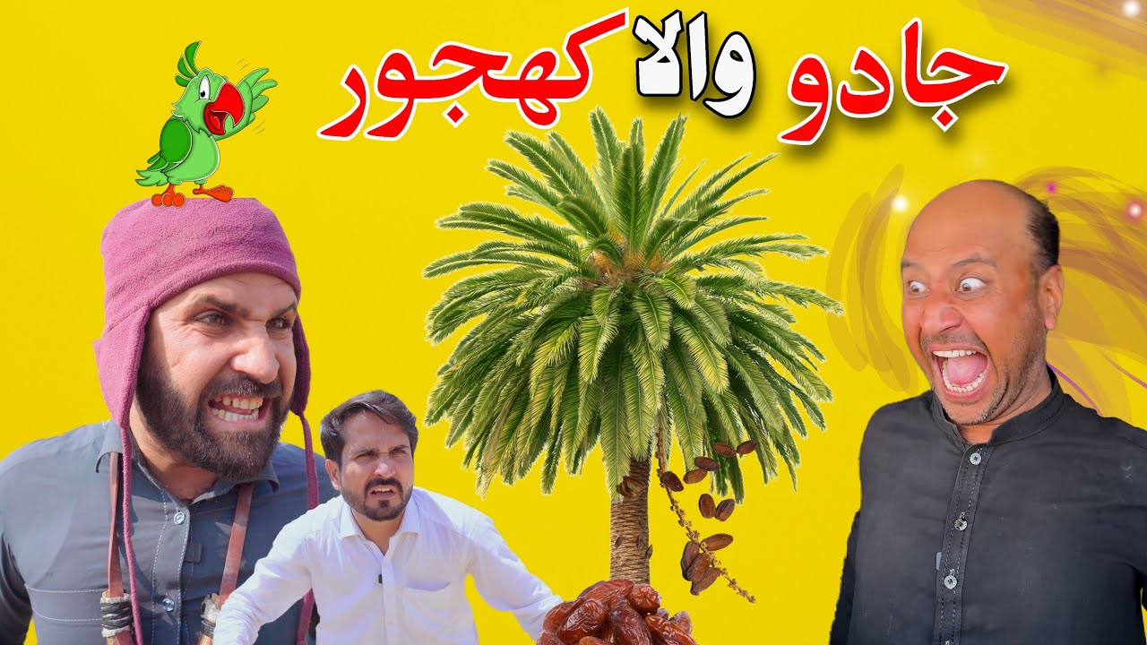 Jado Wala Kajor_Pashto Funny Video 2025 By Khan Vines