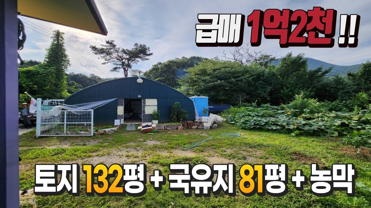 저렴한 농막 찾으시는 분은 꼭 보세요 !!  용문시내 가까운 평지형 농촌마을 정식신고 농막있는 주말텃밭  급매 1억2천  점용허가받은 국유지 포함 실사용 213평 !!!