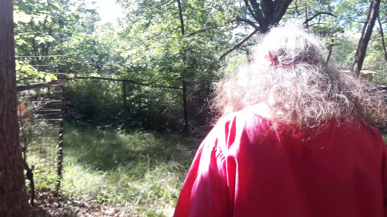 Wild Yam - in the forest with Susun Weed