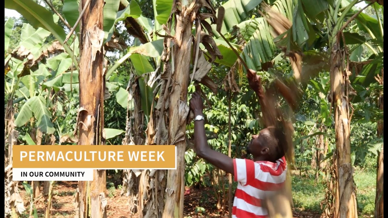 Permaculture week in our community