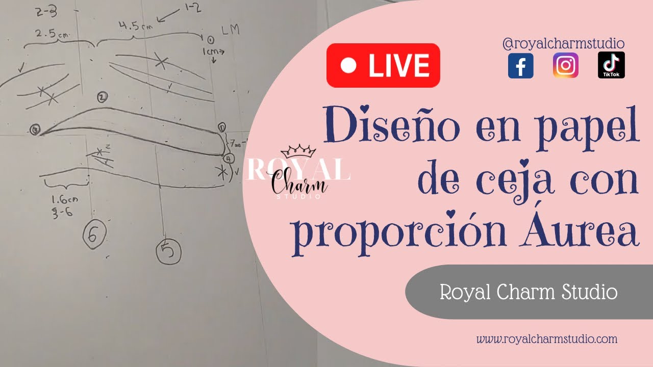 Diseño en papel de Cejas con proporción Áurea(para microblading)