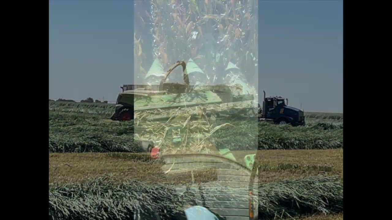 Year-End Evaluation  |  Agronomic Adviser Focus