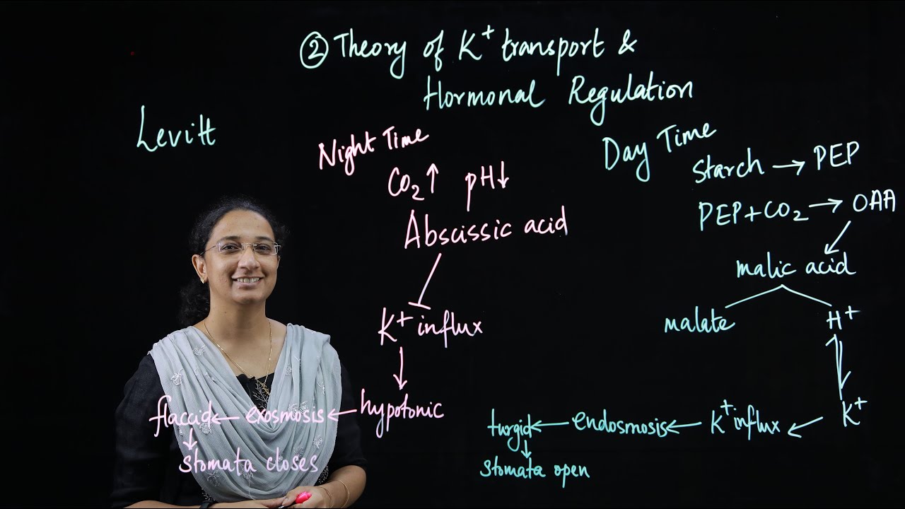 Mechanism of Stomatal Movement I Christine Sara Abraham I  Department of Botany