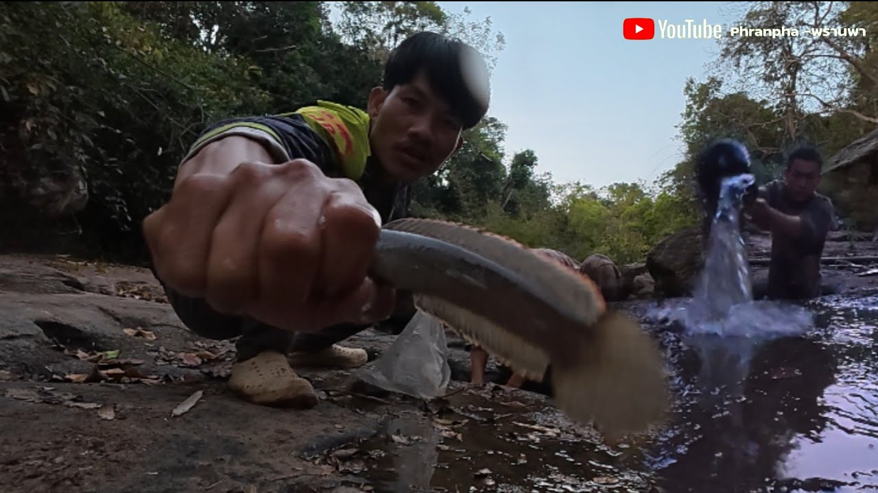 เอาชีวิตรอดในป่าใหญ่2คนหาปล่าภูเขามาประทังชีวิต