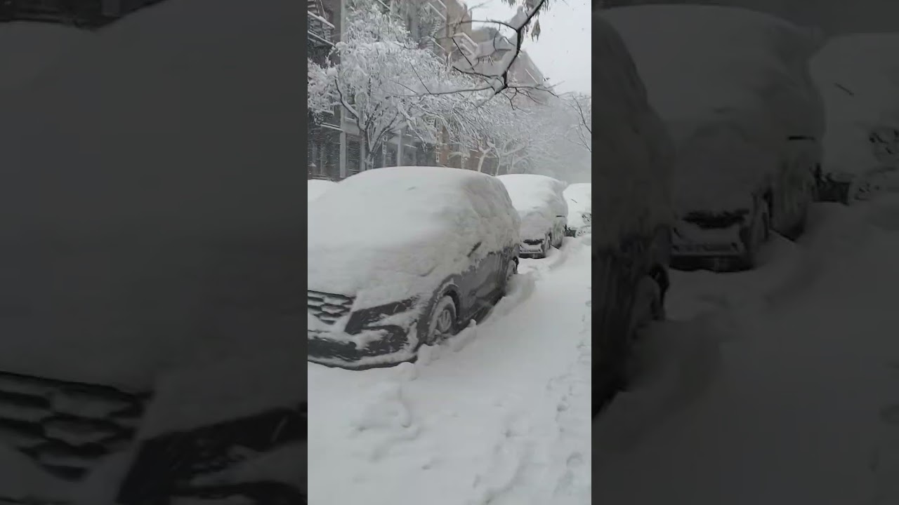 LOOK AT THIS ❄️😍SNOWLAND #viral #music#trending #shorts #film #freestyle #news #weather #vida #snow