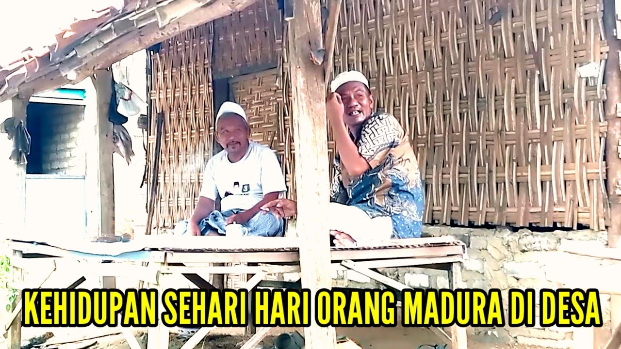 KEHIDUPAN SEHARI HARI DI KAMPUNG KEPULAUAN MADURA
