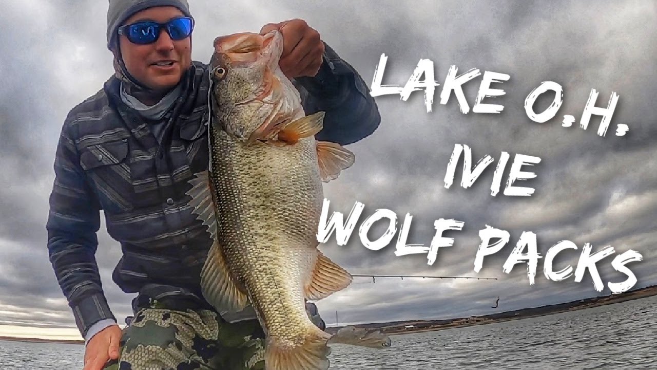 Lake O.H. Ivie Bass Fishing | Chasing Schooling Wolf Packs in Winter