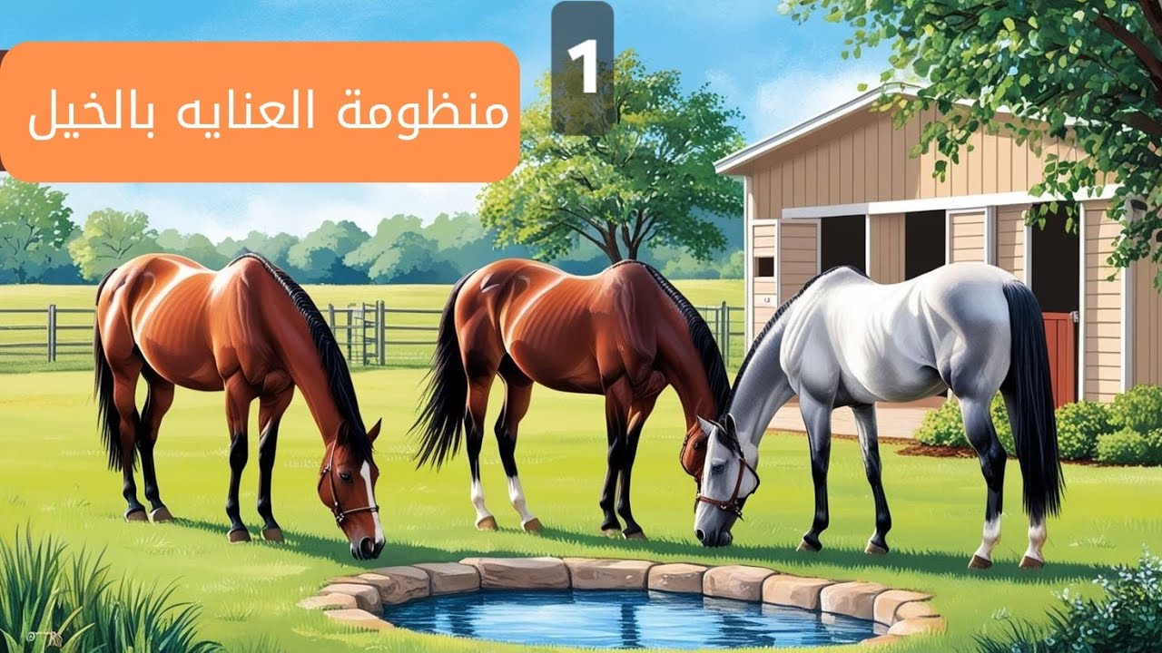 لمحه عن طبيعة الخيل