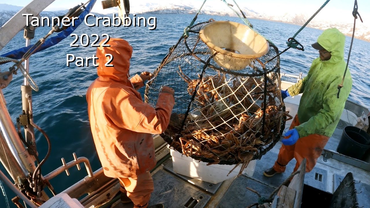 Tanner Crab Season Pt .2 - Hauling Our Prospect Pots