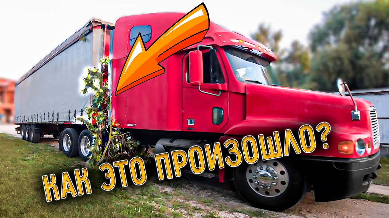 Снёс ДЕРЕВО на фуре. Минусовой рейс?