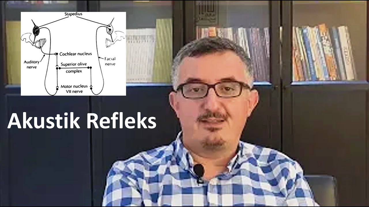 AKUSTİK REFLEKS - ODYOMETRİNİN TEMELLERİ 20