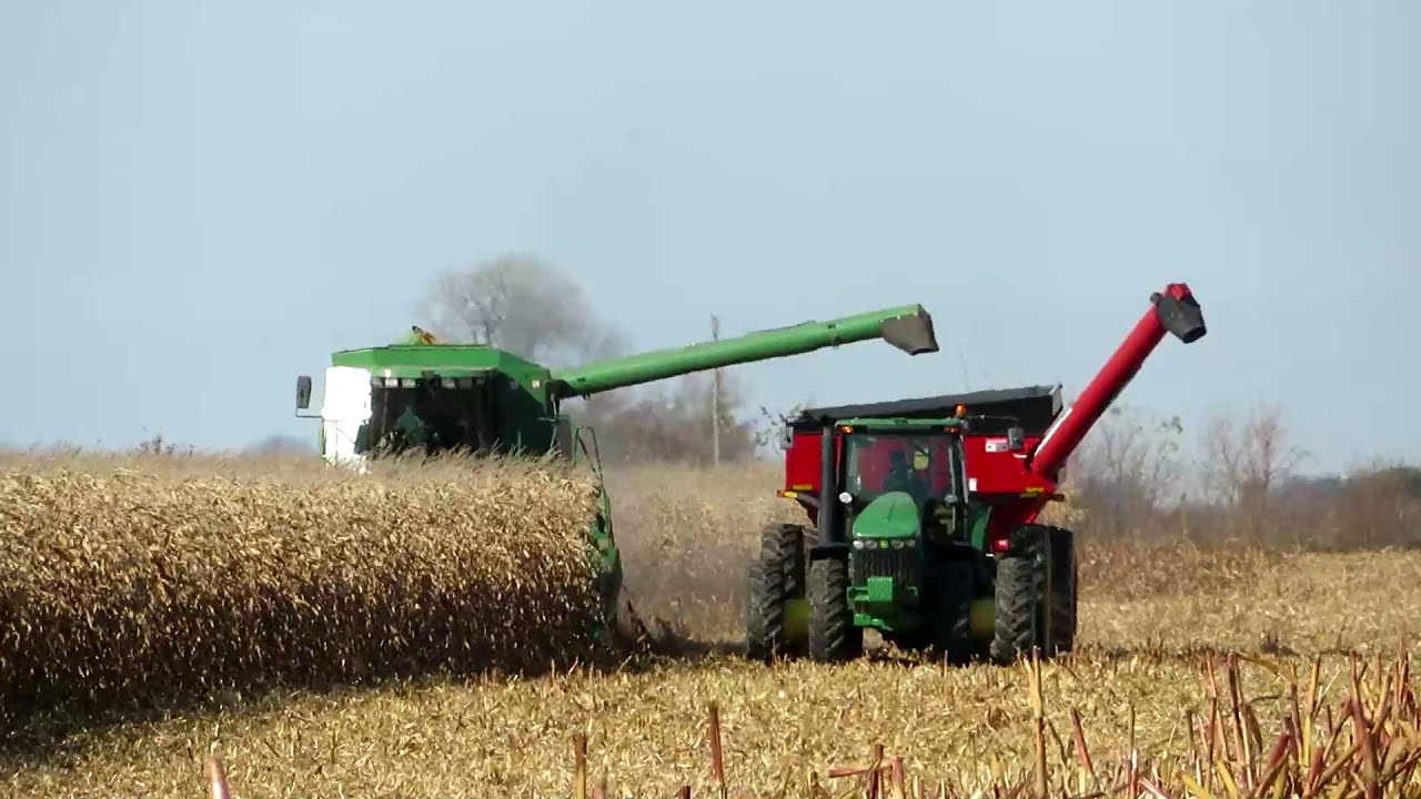 Harvest 2020 | John Deere 9550 Combine Harvesting Corn | Corn Harvest 2020