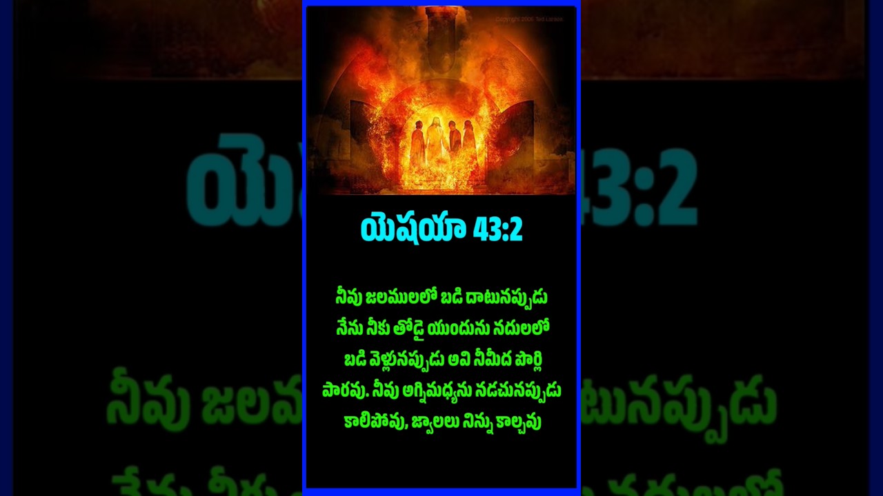 Today Evening God's Promise..23/12/2024 #shorts #christianmessages #gracemessage #biblemessage