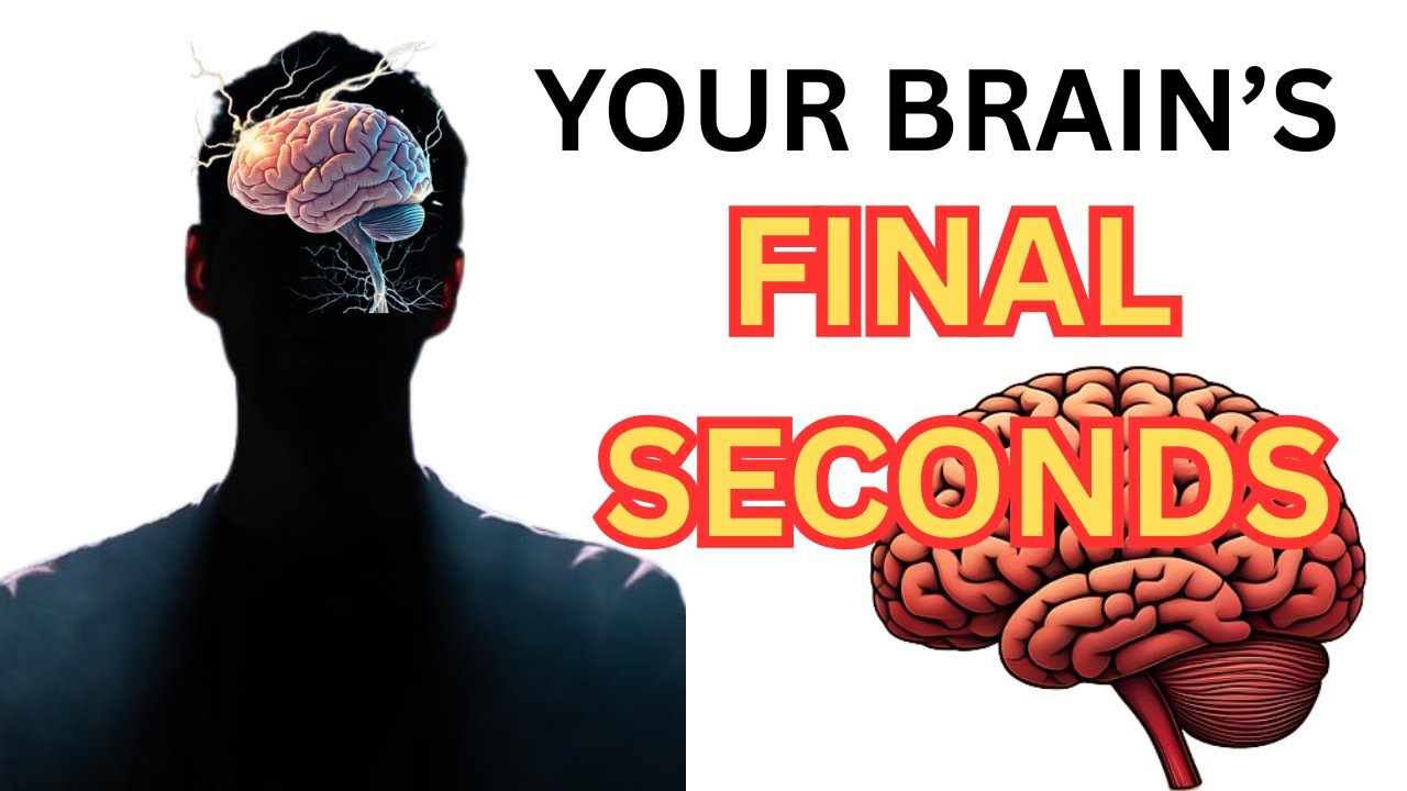 What Your Brain Does Right Before You Die Will Shock You #brainfacts #truthbites #lifeafterdear