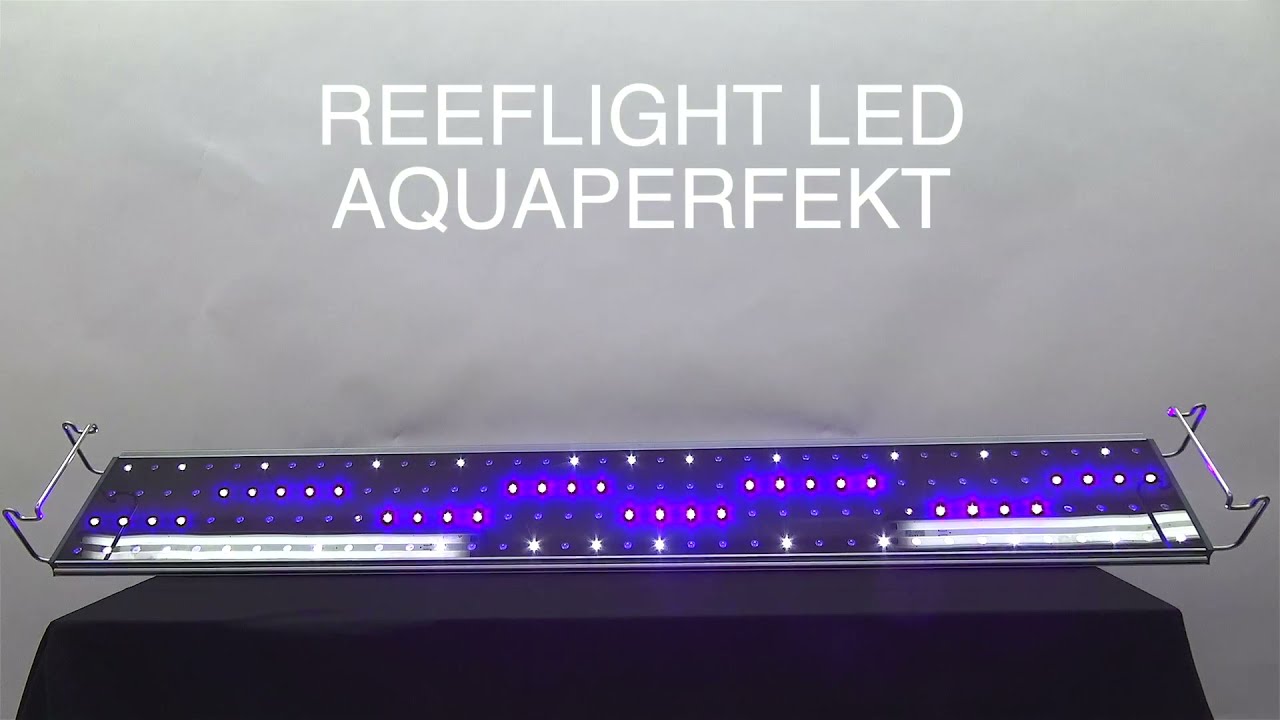 Aquaperfekt Reeflight LED
