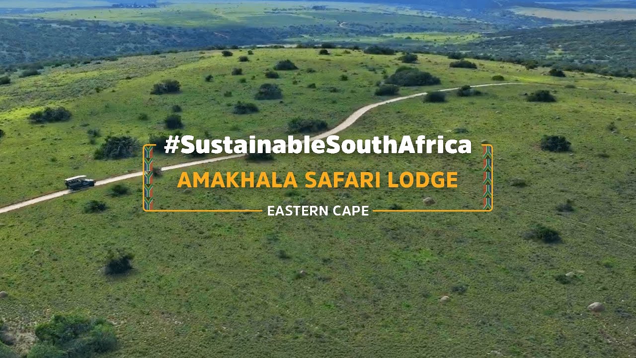Amakhala Safari Lodge: A Sanctuary for Wildlife & Community