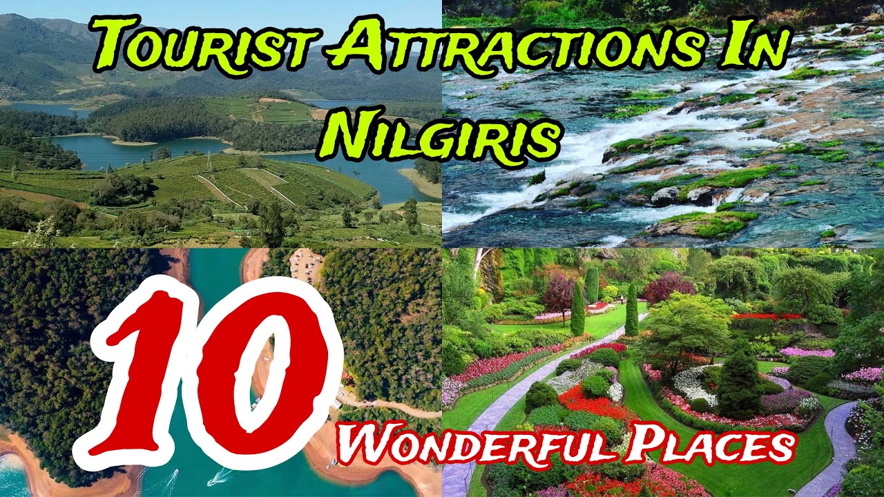 Top 10 Best Tourist Places to Visit in Nilgiris | Tamilnadu 🇮🇳