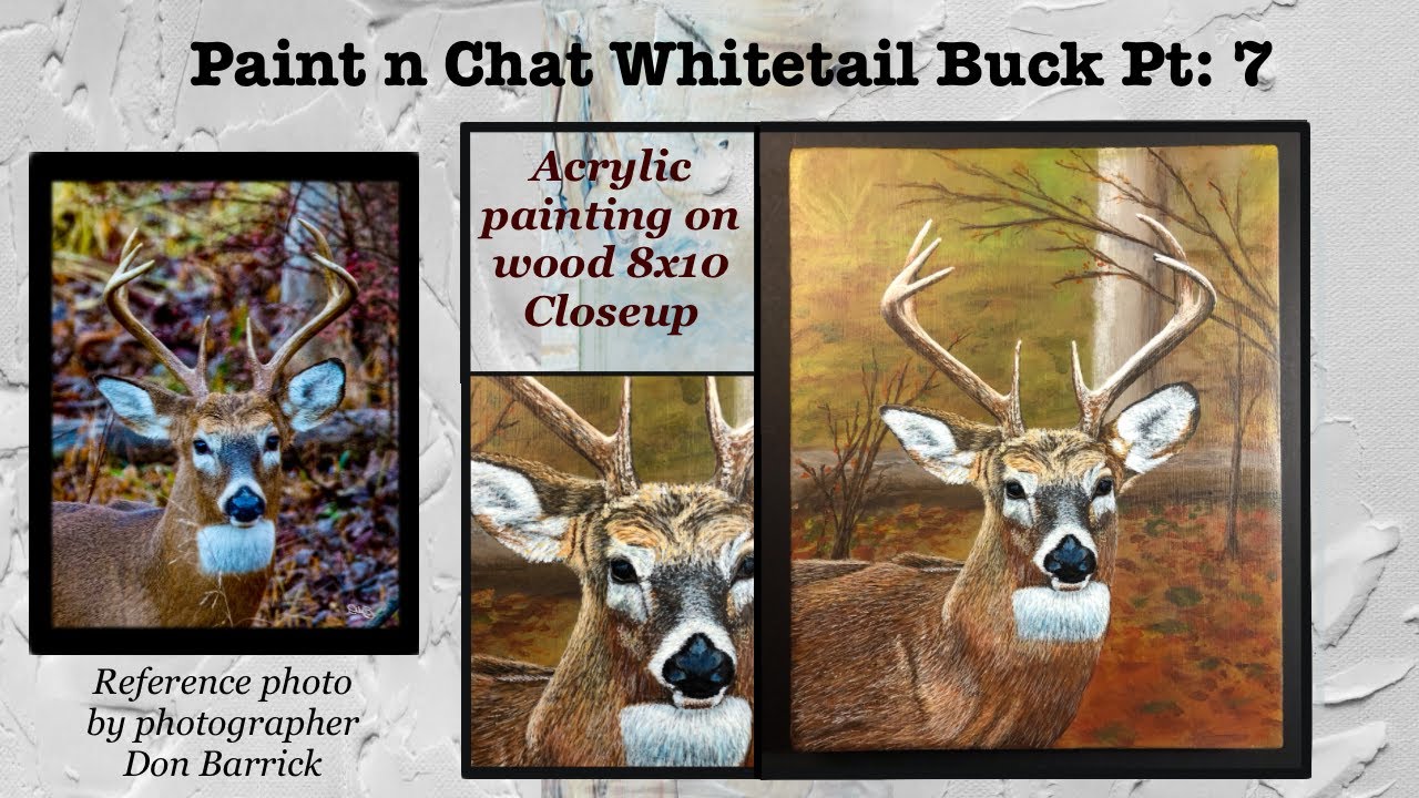 Paint n Chat: Whitetail Buck: Pt 7