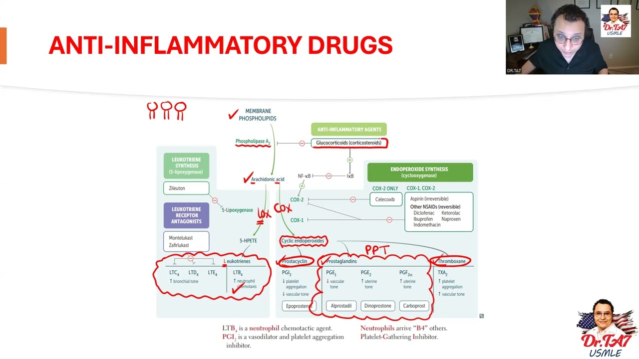 DR TA7: MSK PHARMACOLOGY 1
