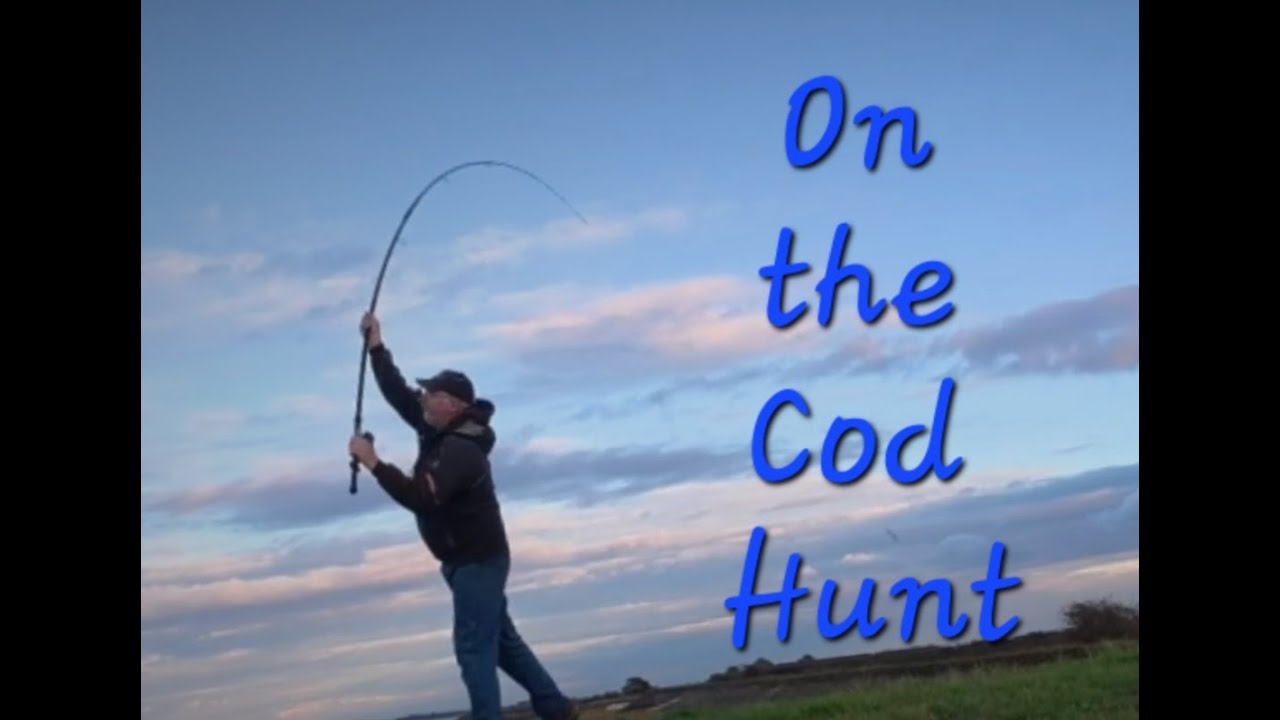 Cod fishing on the Mighty River Humber
