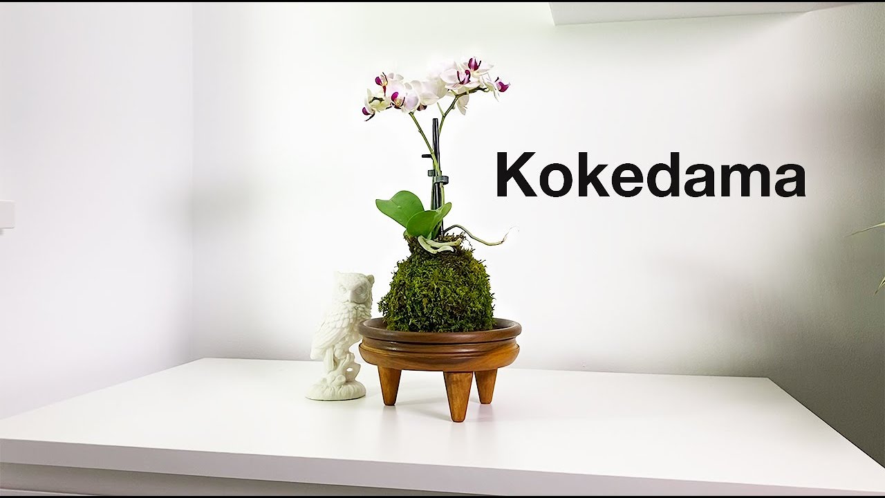 Как сделать кокедаму | Пошаговое руководство | Плюс красивая деревянная чаша — Как сделать | 2020
