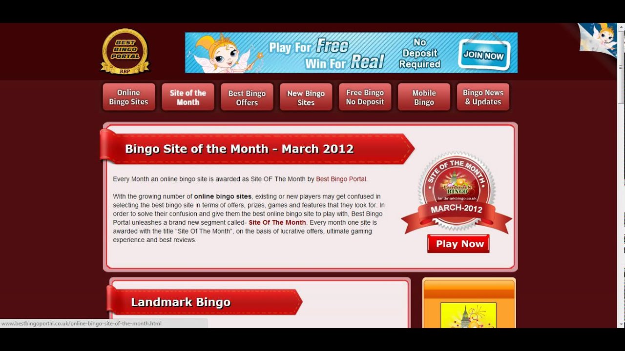 New Bingo Sites At Best Bingo Portal