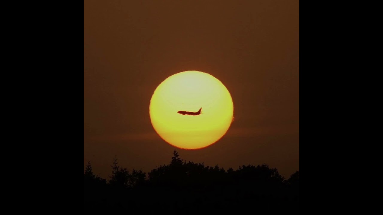 Blueberry faygo 1 hour#music #1hour #enjoy