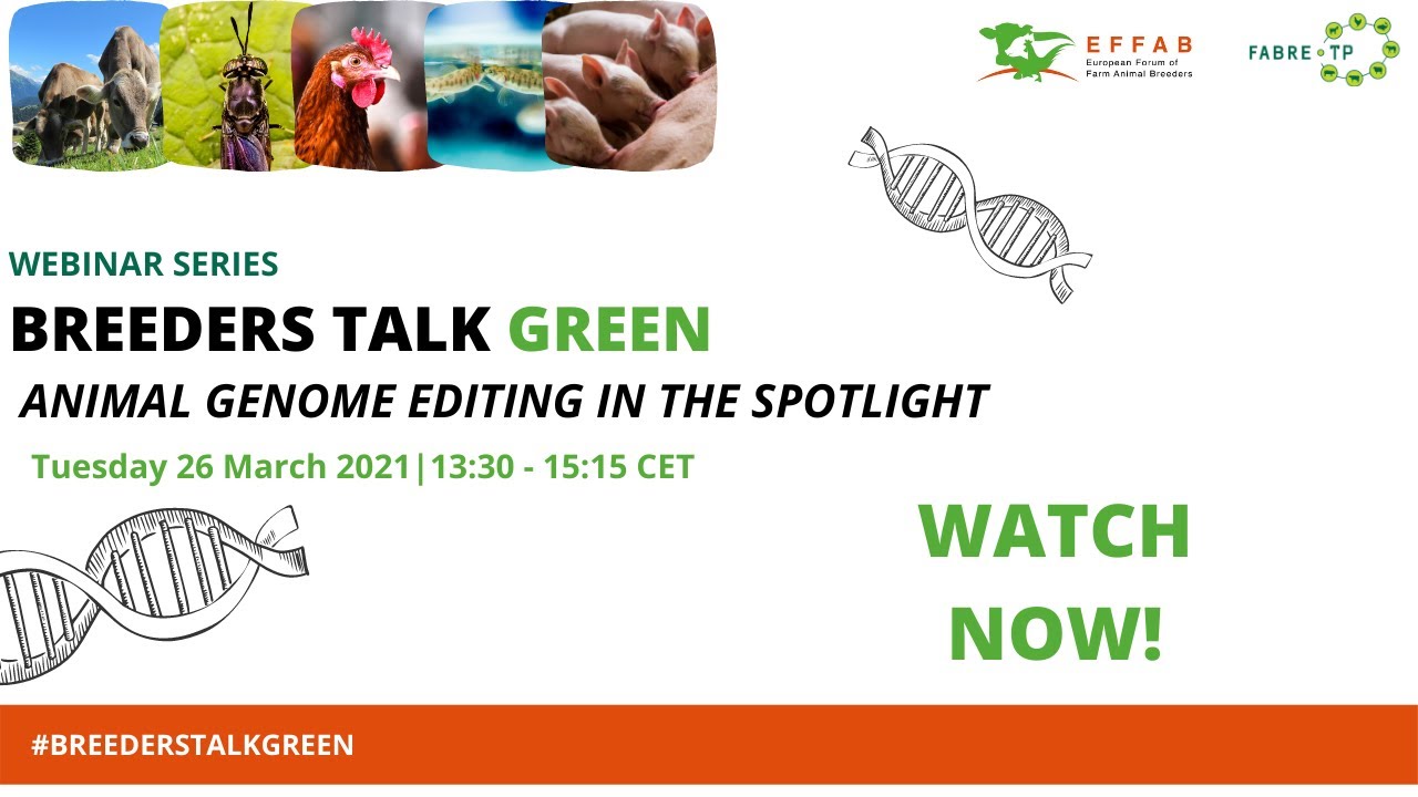 BREEDERS TALK GREEN - ANIMAL GENOME EDITING IN THE SPOTLIGHT