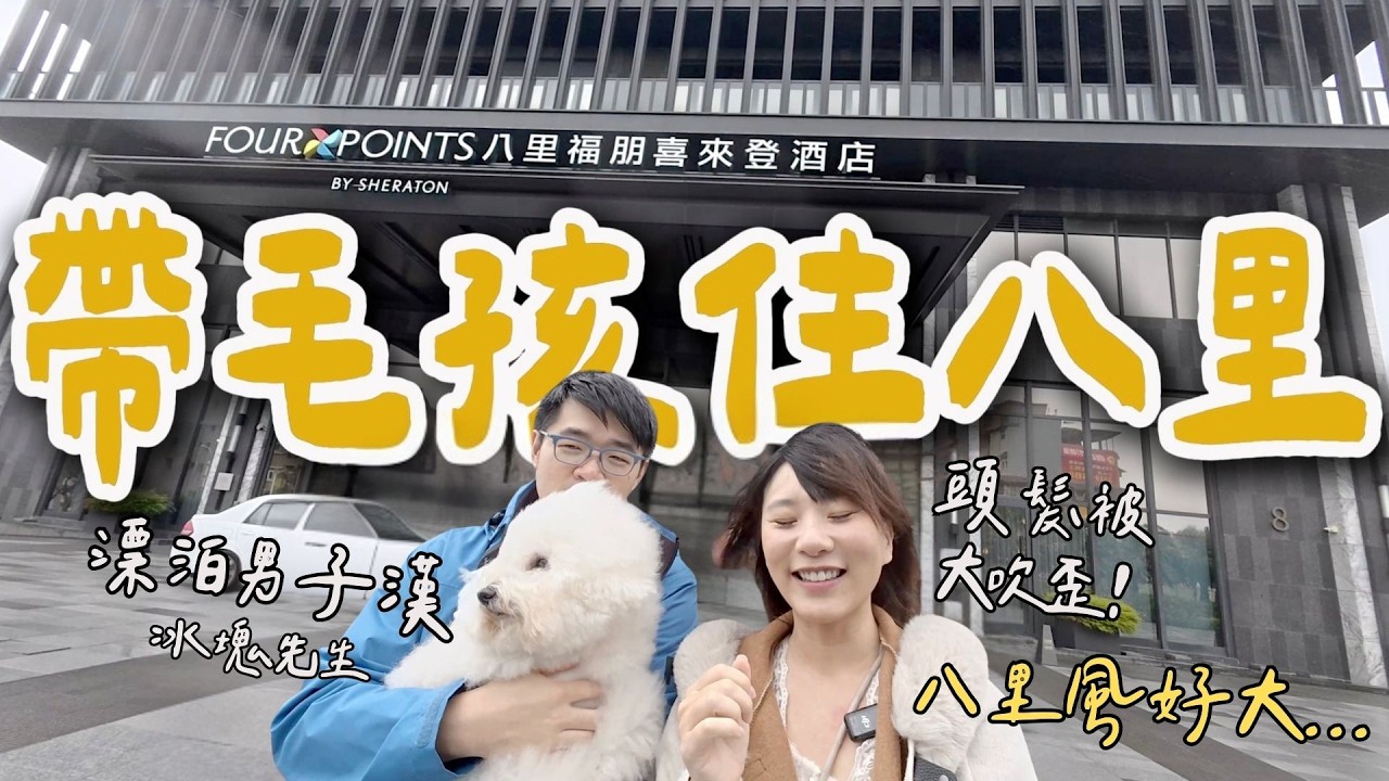 帶毛孩一起去住五星級飯店吧！房間就有溫泉可以泡，還附贈誇張高級的寵物備品！毛孩旅行趣，開箱八里福朋喜來登寵物住宿專案
