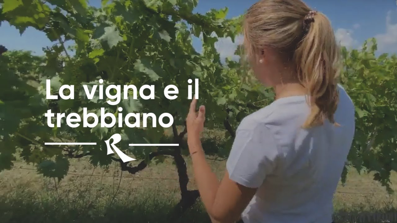 Emidio Pepe - La vigna e il Trebbiano con Chiara Pepe