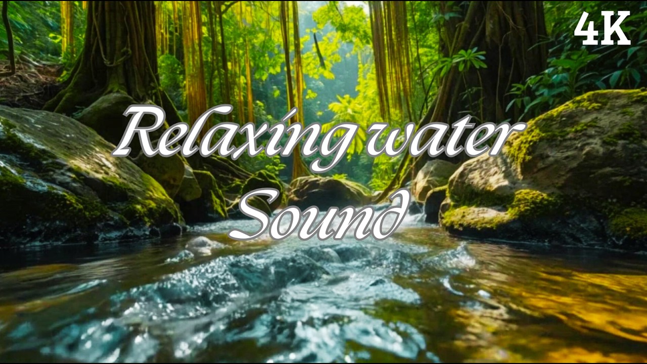 Forest River White Noise 🌊 Natural Stream Sounds for Focus, Study & Sleep