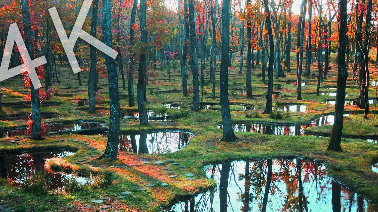 【4K】Water garden | Nasu