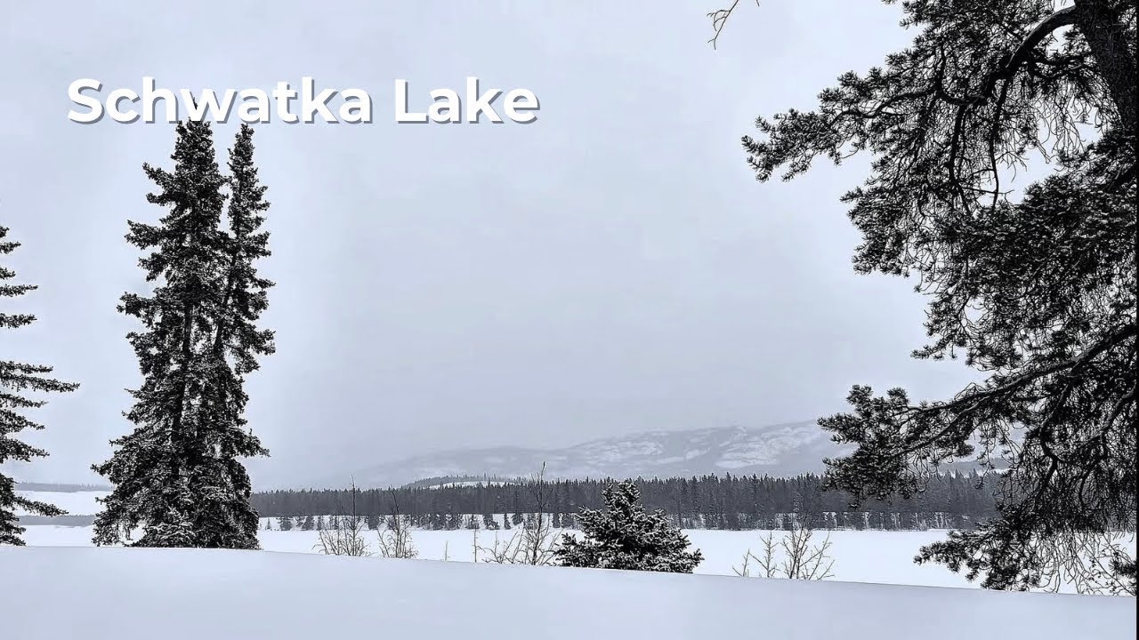 Arctic Isolation | -30°C Howling Wind - Boreal Forest, Schwatka Lake